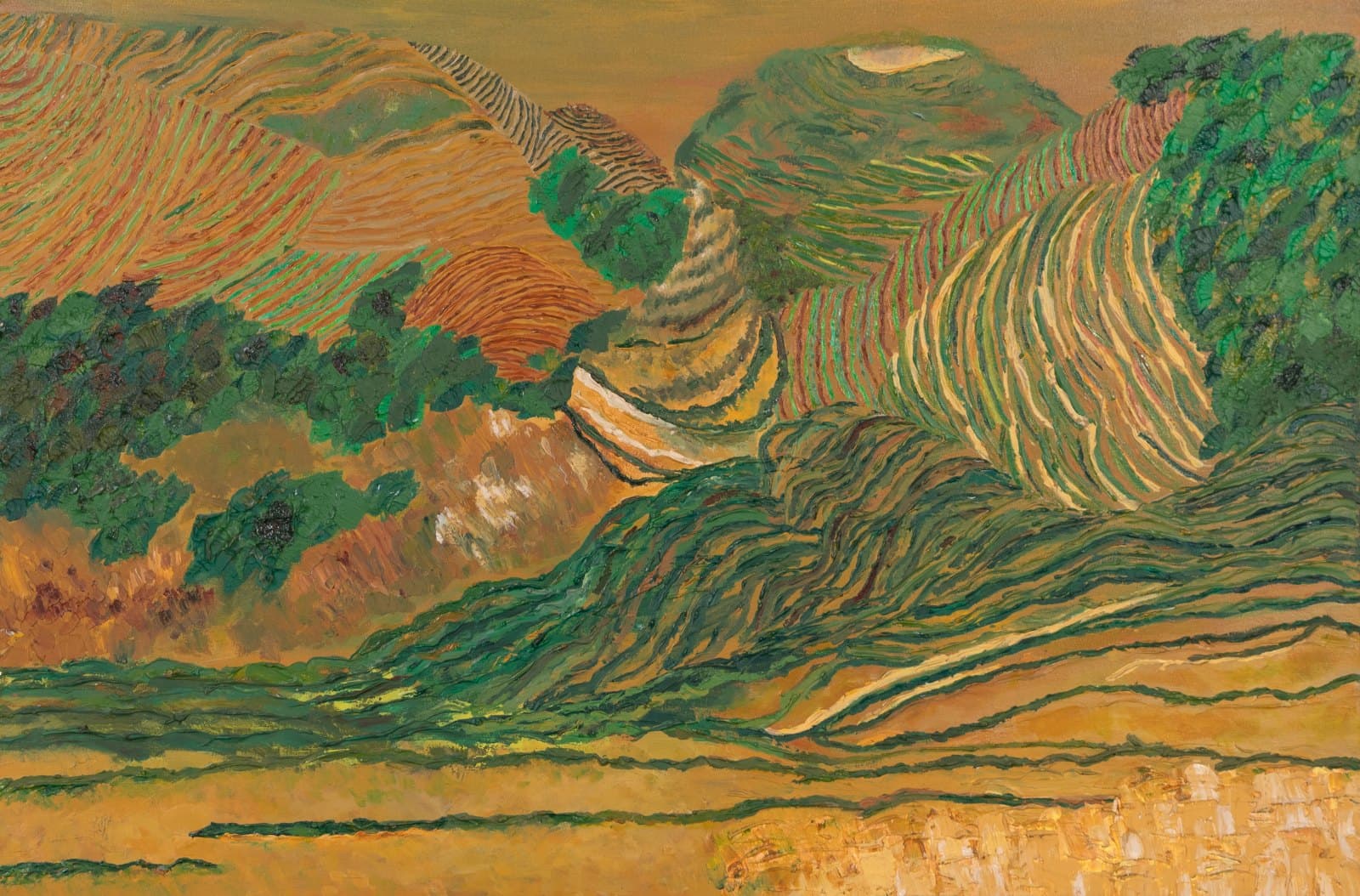 Rice Fields in China